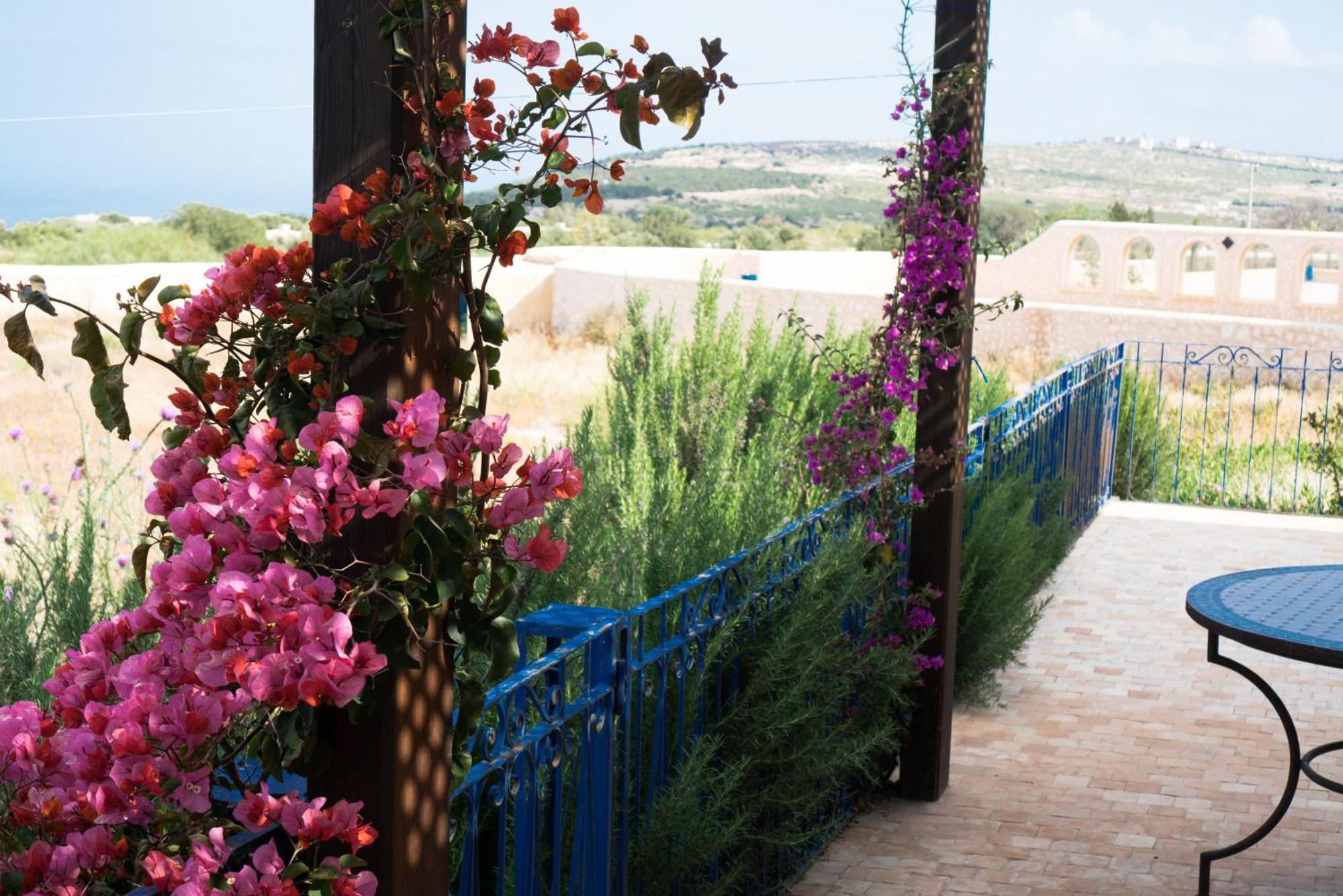 Villa Habibi Эс-Сувейра Экстерьер фото